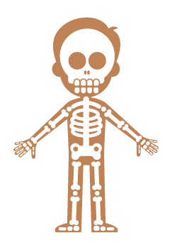 skeleton icon